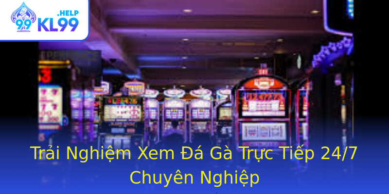 Trải Nghiệm Xem Đá Gà Trực Tiếp 24/7 Chuyên Nghiệp Trải Nghiệm Xem Đá Gà Trực Tiếp 24/7 Chuyên Nghiệp